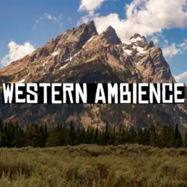 Steven Lynn – Western Ambience (2020) [iTunes Match M4A]