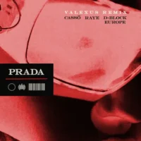 cassö, RAYE & D-Block Europe – Prada (Valexus Remix) – Single (2023) [iTunes Match M4A]