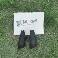 V – Winter Bear – Single (2019) [iTunes Match M4A]