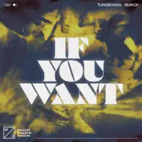 Tungevaag & SMACK – If You Want – Single (2023) [iTunes Match M4A]