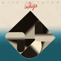 Wild Nothing – Indigo (2018) [iTunes Match M4A]